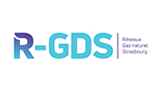 logo R-GDS